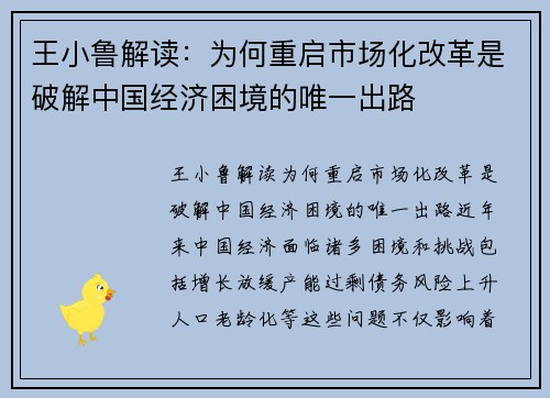 王小鲁解读：为何重启市场化改革是破解中国经济困境的唯一出路