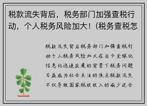 税款流失背后，税务部门加强查税行动，个人税务风险加大！(税务查税怎么处理)